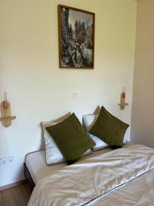 a bed with two green pillows on top of it at Appartement 32 in Triberg