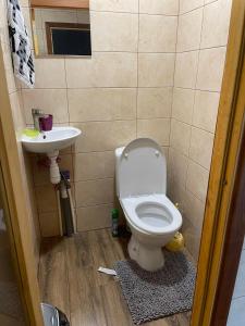 a bathroom with a toilet and a sink at Панорама Маґура 2к in Tatariv