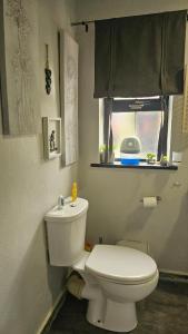 a bathroom with a white toilet and a window at Private 1 bedroom suite in Cahersiveen +16 photos
