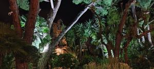 Природа в окрестностях отеля