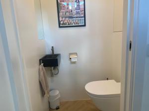 une salle de bain avec toilettes et un tableau au mur dans l'établissement Ons Huisje Achter, à Noordwijkerhout