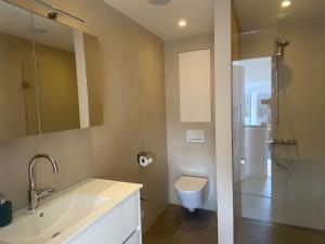 une salle de bain avec un lavabo, des toilettes et une douche dans l'établissement Ons Huisje Achter, à Noordwijkerhout