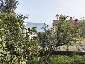 Ein Baum vor einem Zaun mit dem Ozean im Hintergrund in der Unterkunft Lana 38 in Savina