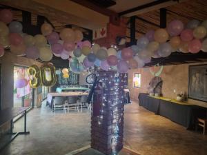 a bunch of balloons hanging from a wall in a room at Nyani Lodge Dinokeng in Pretoria