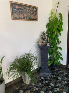 マータラにあるSri Maliの植物のある庭と部屋の彫像