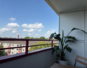 a balcony with a potted plant and a window at Design & Komfort für 2-4 Gäste in Munich