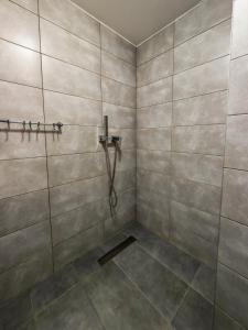 a bathroom with a shower with a hose at Apartmani Nevena Divčibare in Divčibare +15 photos