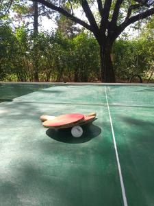 a skateboard sitting on top of a tennis court at Old house in Nikšić