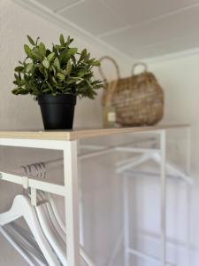 Fotografie z fotogalerie ubytování RheinBlick Apartment - Park and Stay "optional" am Deutschen Eck v Koblenci