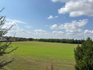 a large green field with trees in the background at B&B Canossa in Rodigo