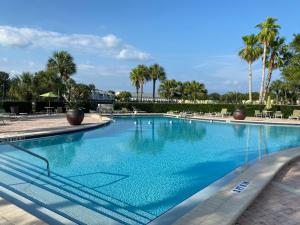 Πισίνα στο ή κοντά στο Sunny 1 Br Condo on the Water in St Petersburg, FL