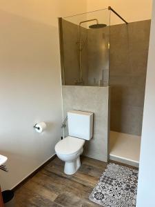 a bathroom with a toilet and a shower at La maison de MiLy in Bassenge +4 photos