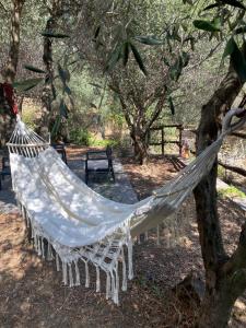a hammock hanging from a tree in a park at La Casa Del Cacao in Lecchiore