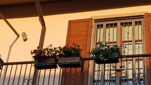 balkon z 2 doniczkami kwiatowymi na oknie w obiekcie Dimora della corte w mieście Rivanazzano