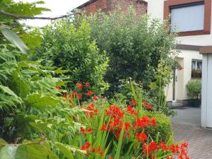 Un jardín con flores rojas frente a un edificio. en Ferienwohnung "Leuchtturm", en Ribnitz-Damgarten