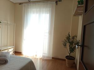 Postel nebo postele na pokoji v ubytování Alojamiento Los Naranjos