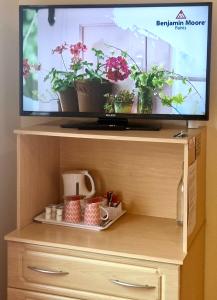 a tv on top of a wooden cabinet with plants at Jordan's Drum Haven B&B, Knock in Knock