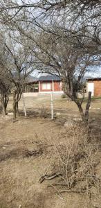 un gruppo di alberi in un campo con un edificio di Cabañas Valle del Chutunzo a San Francisco del Monte de Oro