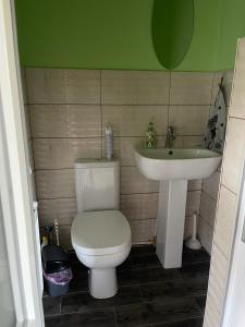 タターリウにあるПанорама Маґура 3кのトイレと洗面台付きのバスルーム +6枚の写真