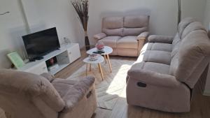 a living room with two couches and a tv at L&L Apartman in Smederevska Palanka