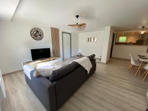 TV a/nebo společenská místnost v ubytování Appartement cosy 4 personnes