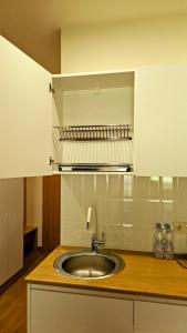 a kitchen counter with a sink in a kitchen at Arkhi Kokhta Bakuriani Apt 304 in Bakuriani +26 photos