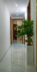 a hallway with a potted plant on the floor at Casa Bella in Genova