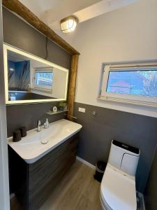a bathroom with a sink and a toilet and a window at Ferienhaus am See in Staupitz