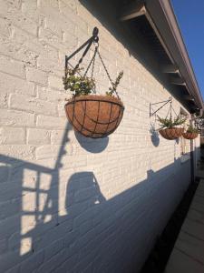 two hanging baskets on a wall with plants in them at Cosy Cottage Greenside in Johannesburg