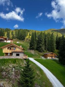a house on a hill with a dirt road at Chalet Vierlauchen in Bramberg am Wildkogel