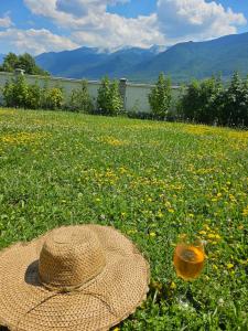 a straw hat sitting on the grass with a glass at Къща за гости Радост Guest House Radost in Razlog