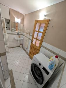 een wasmachine in een badkamer met een wastafel bij Apartment Lucy in Vysoké Tatry