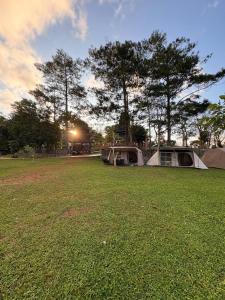 a group of tents in a field with trees at Luxury Camp Waduk Darma in Haurkuning