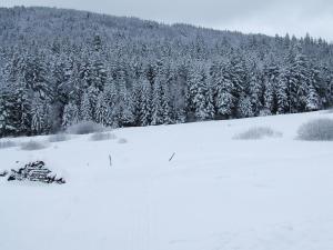 Billede fra billedgalleriet på Domaine Des Hauts Viaux i La Bresse