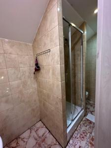 a shower with a glass door in a bathroom at Penzion pod lesem in Most