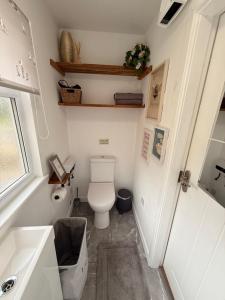 a small bathroom with a toilet and a sink at Castle View chalet in Llangollen +32 photos