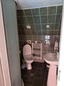 a bathroom with a toilet and a sink at Casa boierului Imbri in Cârțișoara