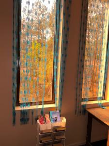 a window with curtains and books in front of it at XTSY Economy Dorms & Rooms in Shillong +10 photos