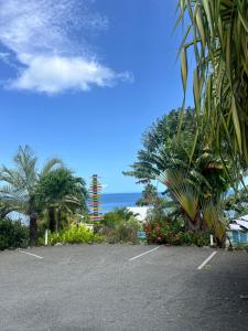 un parcheggio con palme e l'oceano di Bungalow Corossol a Deshaies
