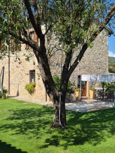 un albero in un cortile di fronte a un edificio di Agriturismo Case Corboli appartamento Visietto a Todi