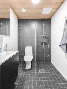 タンペレにあるBright and cozy studioのシャワー、トイレ、洗面台付きのバスルーム