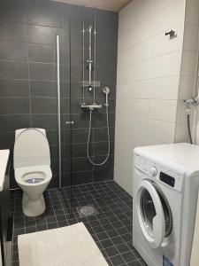 タンペレにあるBright and cozy studioのバスルーム(トイレ、洗濯機付)