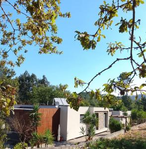 a house in the middle of a garden at Alojamento 444 in Monção