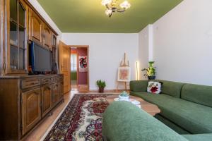 a living room with a green couch and a tv at Grape Apartment Studio in Rahovec