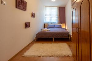 a bedroom with a bed and a window and a rug at Grape Apartment Studio in Rahovec