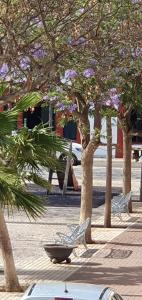 Φωτογραφία από το άλμπουμ του Llano del Beal σε El Descargador +24 φωτογραφίες