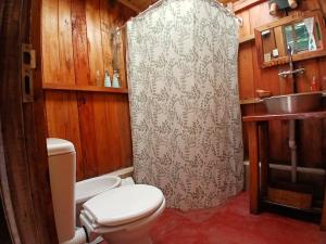 a bathroom with a toilet and a sink and a shower at Canto do Urutaú Cabaña en la selva in El Soberbio +11 photos