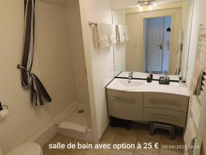 a bathroom with a sink and a mirror at Locations Vacances Obernai Studio in Obernai +36 photos