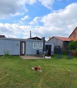 Fotografie z fotogalerie ubytování Kleine Ferienwohnung in der Natur v destinaci Rheinsberg