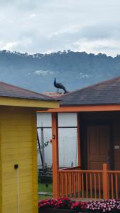 Gambar di galeri bagi The Laughing Woods AC Resort di Kotagiri